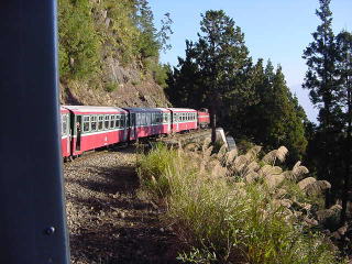 Mt. Ali climbing train 
